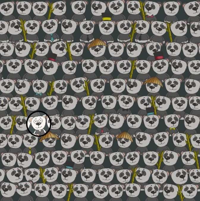 hidden optical illusions with answers