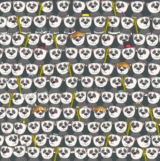 hidden optical illusions with answers