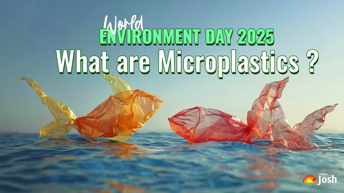 What are Microplastics?