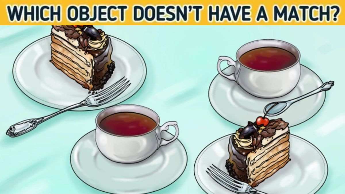 Brain Teaser: Spot Which Object Is Missing A Pair? Only 1% Highly Attentive Pass This IQ Test In 5 Seconds!
