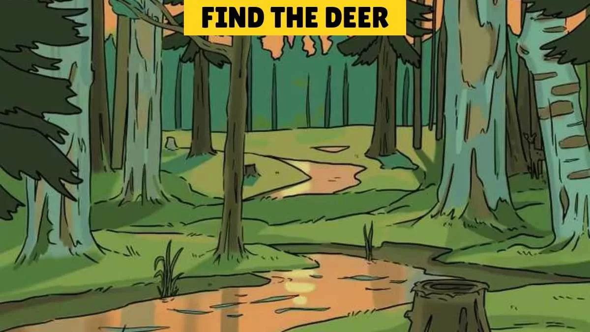 Find the hidden deer