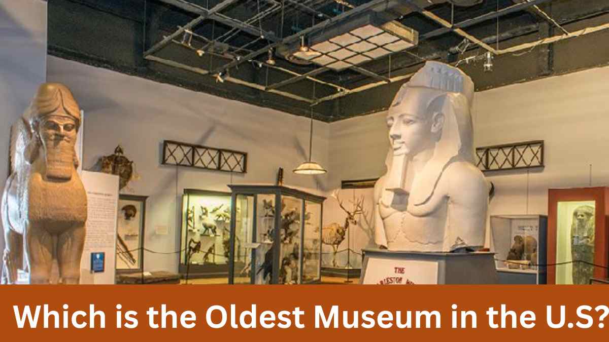 Which is the Oldest Museum in the US? Check Origin Year and Other Facts