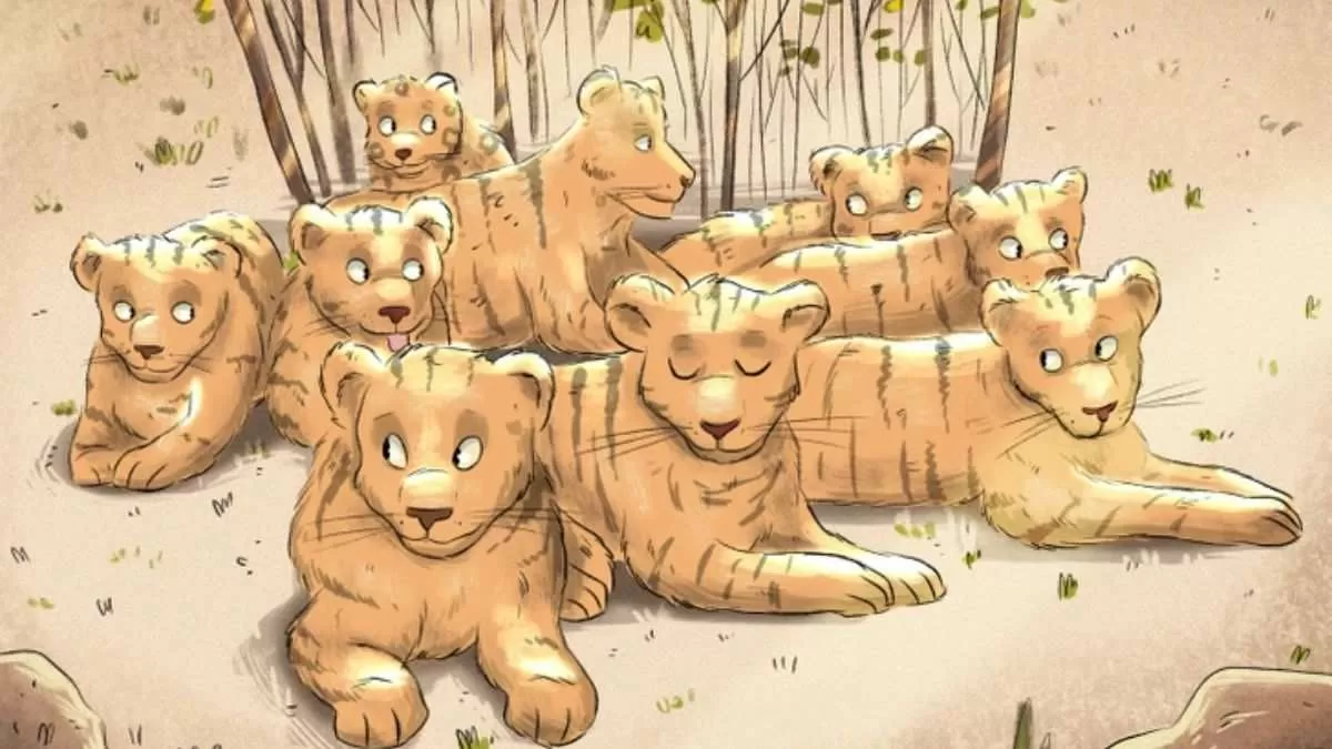 Who Isn't A Tiger? 