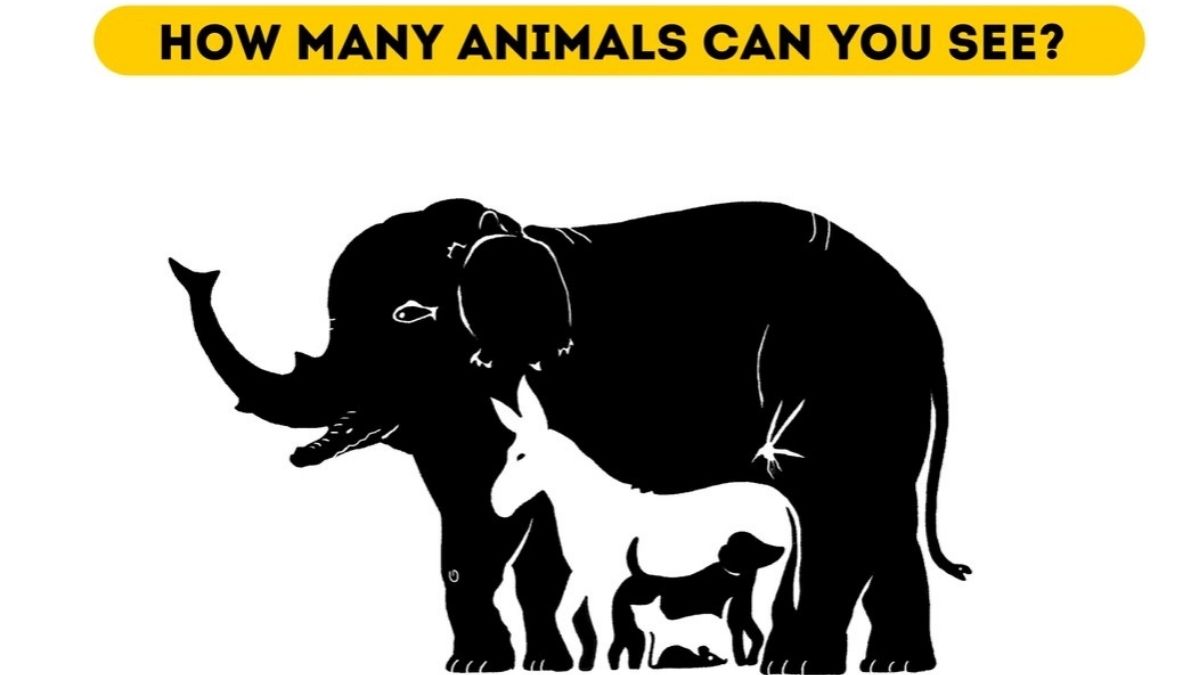 99% Failed To Find To Count, How Many Animals Are Hidden In This Optical Illusion!