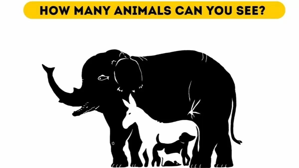 99% Failed To Find To Count, How Many Animals Are Hidden In This Optical Illusion!