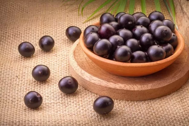 Which Country is the Largest Producer of Java Plum?