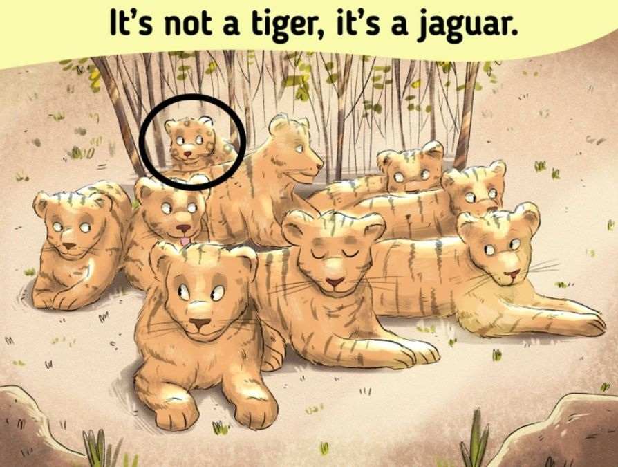 brain teasers with answers