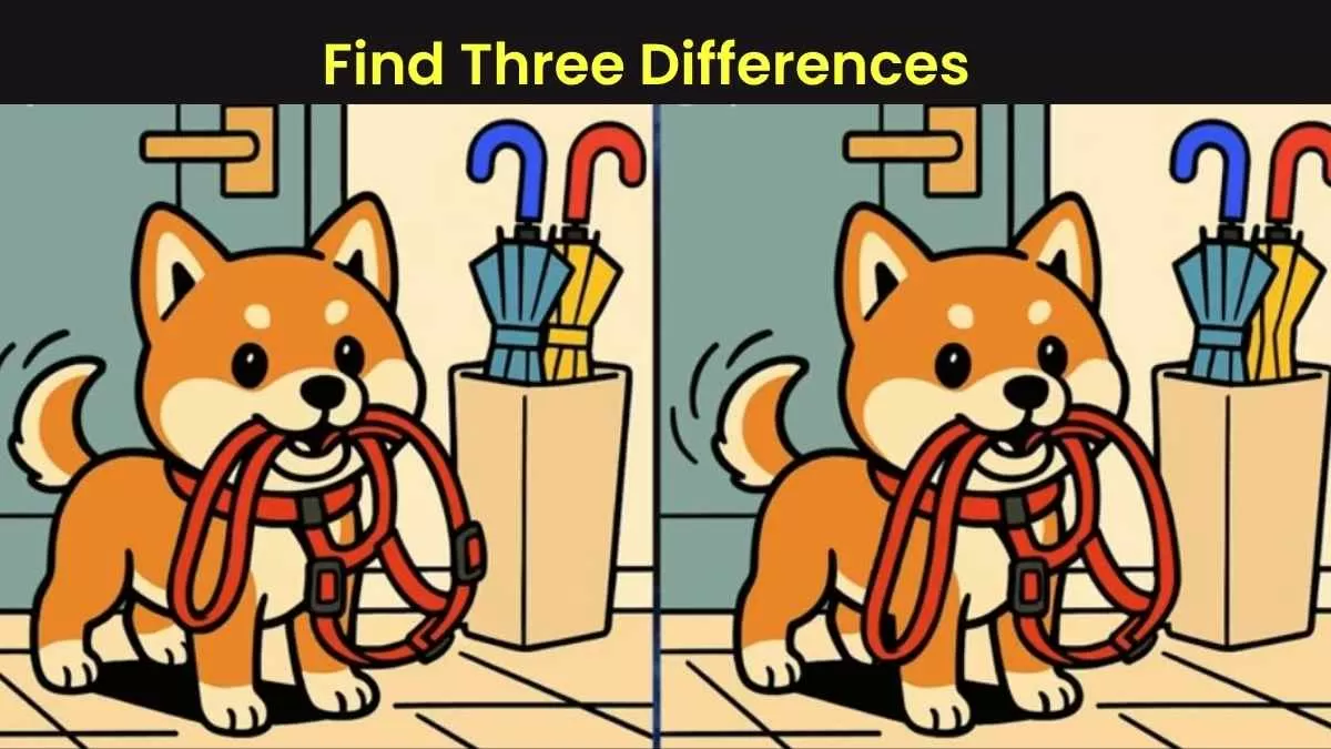 Spot the 3 Differences in Dog Carrying His Leash Beat the 29-Second Challenge!