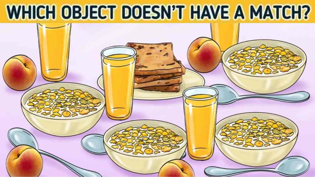 Brain Teaser: Spot Which Object Doesn't Have A Match? Only 2% Highly Observant Can Solve This Visual IQ Test In 5 Seconds!