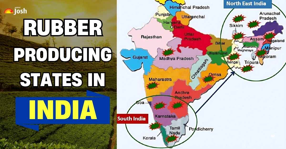 Which is the Largest Rubber Producing State in India? List of Rubber-Producing States in India