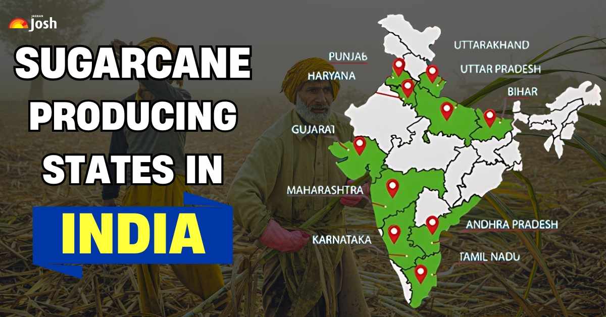Which State is the Largest Producer of Sugarcane in India?