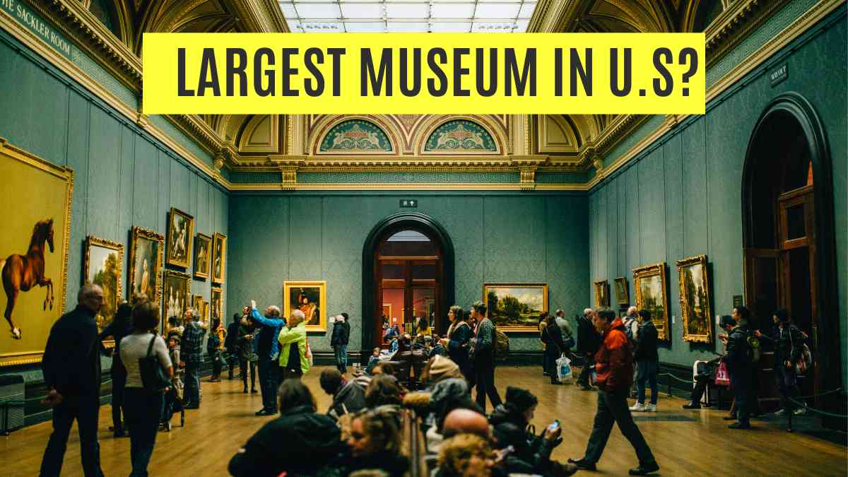 Which is the Largest Museum in the U.S?