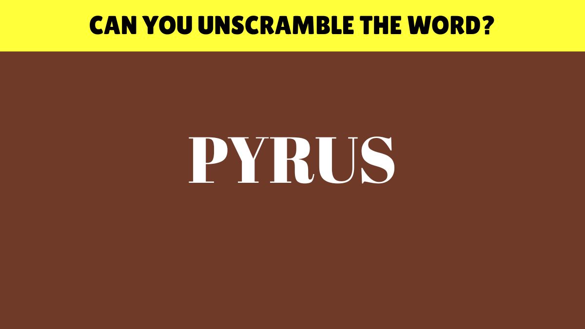 Word Scramble: 97% Have Failed to Unscramble the Word in 6 Seconds!