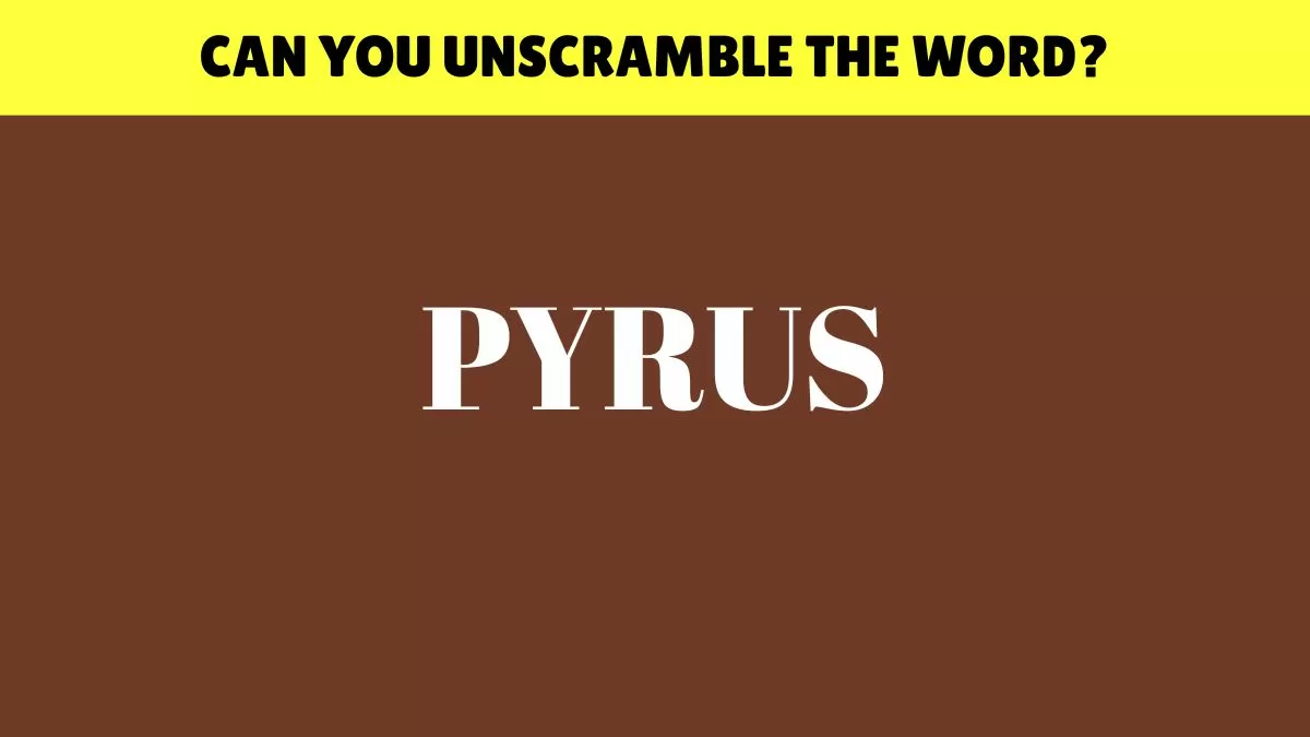Can you unscramble the word?