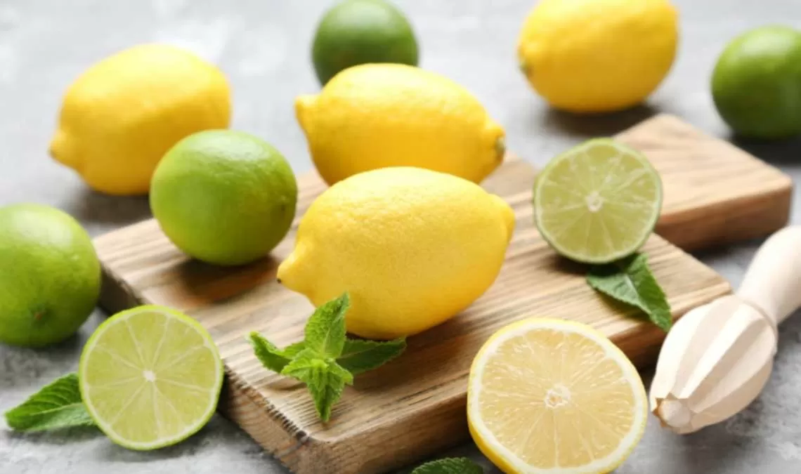 Which Country is the Largest Producer of Lemons in the World?