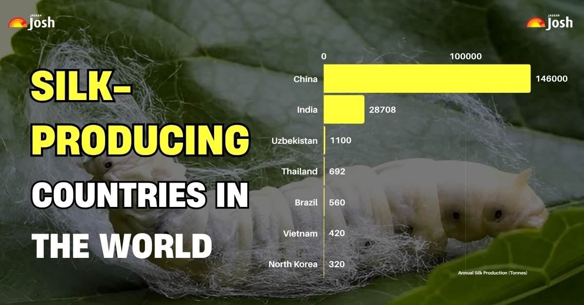 Which is the Largest Producer of Silk in the World? List of Top 7 World’s Largest Silk Producing Countries