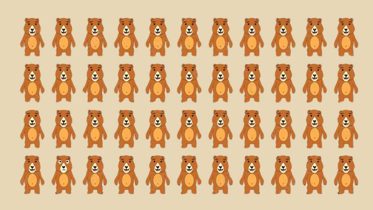 Visual Illusion: Only the Sharpest Eyes Can Spot the Unique Bear in 4 Seconds!