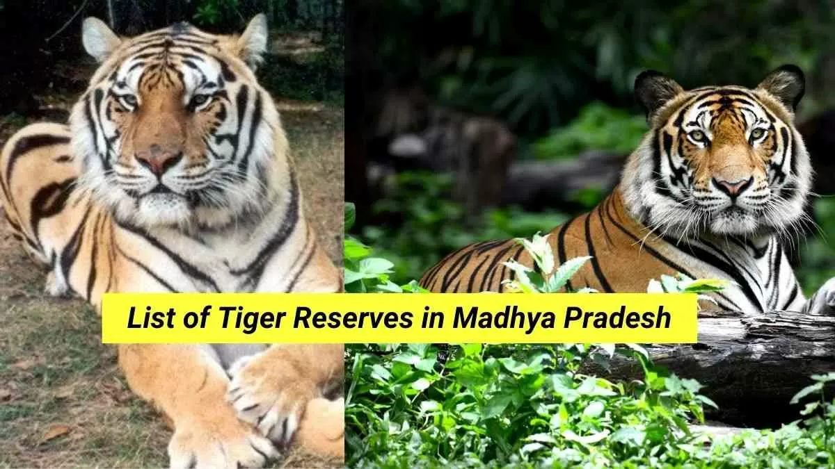 List of Tiger Reserve in Madhya Pradesh. Check the complete list here