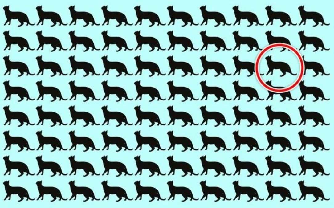 brain teasers with answers