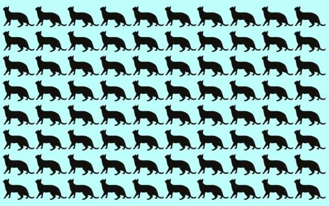 brain teasers with answers