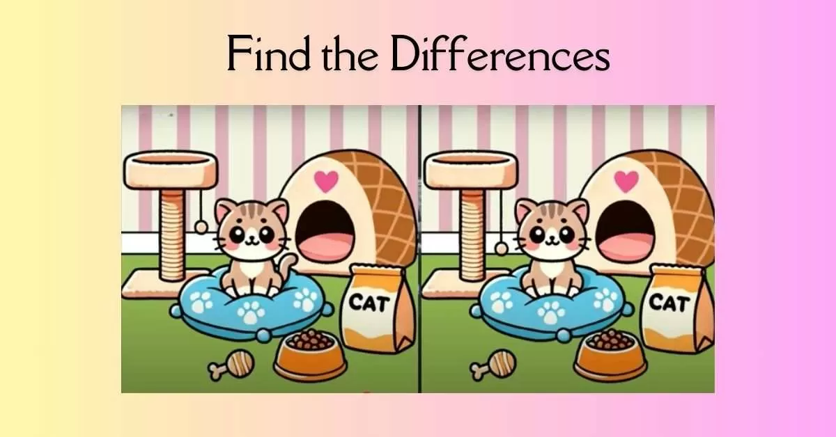 Spot the 3 Differences in Cat Sitting on Her Bed