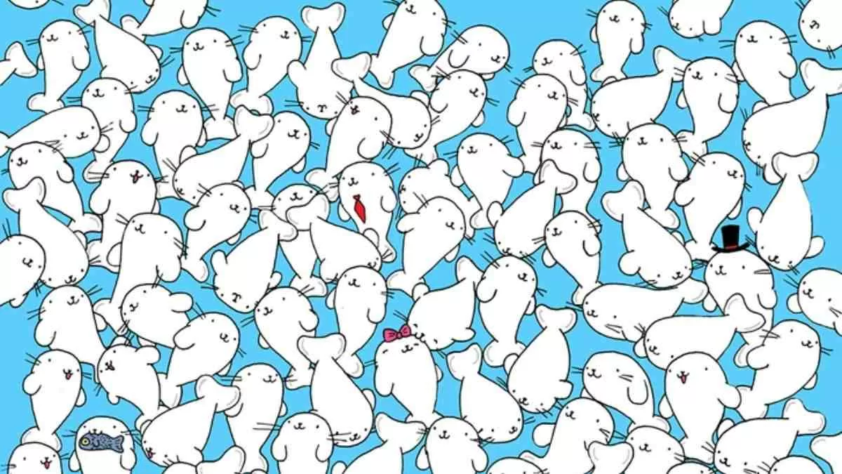 Spot The Hidden Marshmallow.