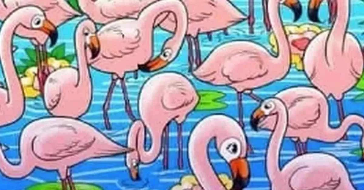 Find the Hidden Girl Among the Flamingos in 3 Seconds