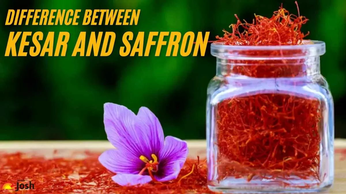 Difference Between Kesar and 
