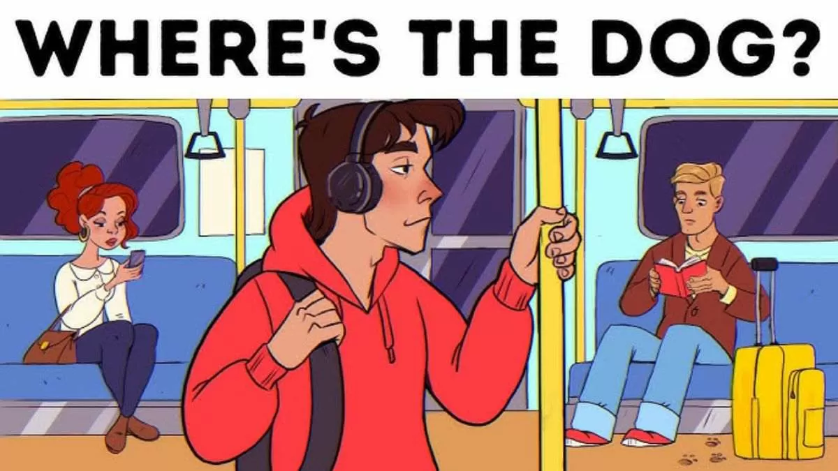 Where is the Dog?