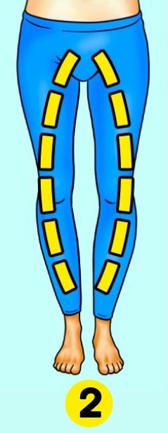 leg shape personality traits