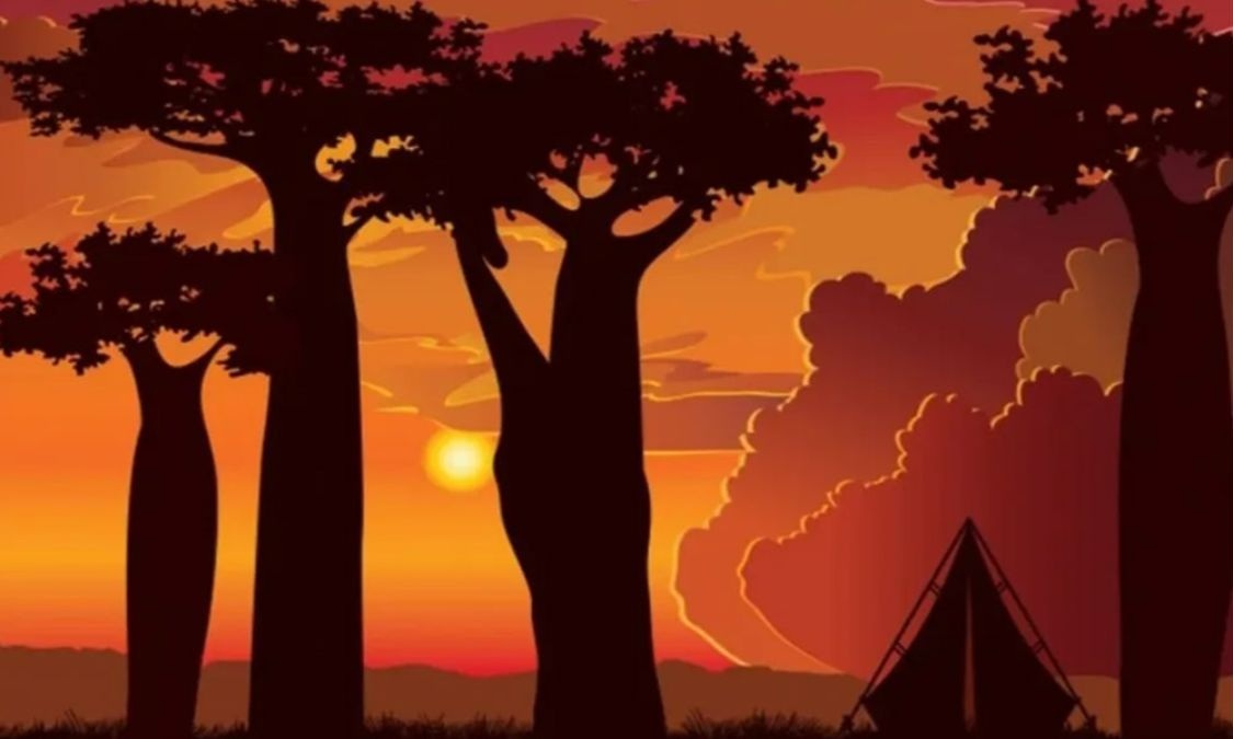 hidden optical illusions with answers