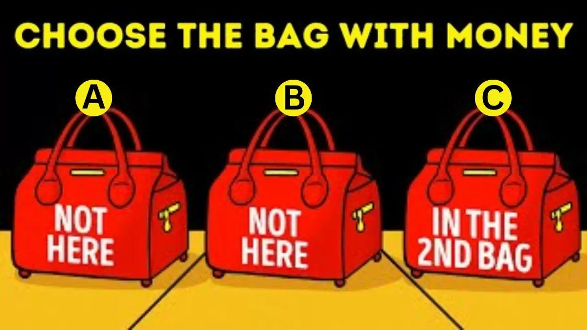 Which Bag Has the Money?