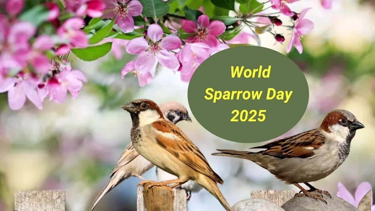 World Sparrow Day 2025 Theme, Origin, Significance and Ecological