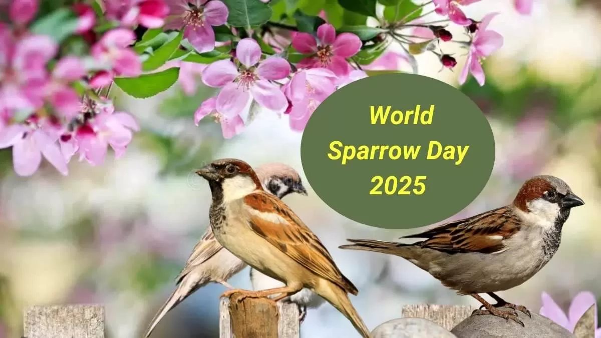 World Sparrow Day 2025: Theme, Origin, Significance and Ecological Importance