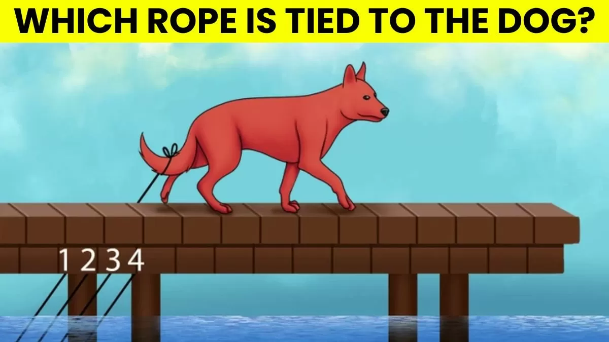 Which Rope is Tied to the Dog?