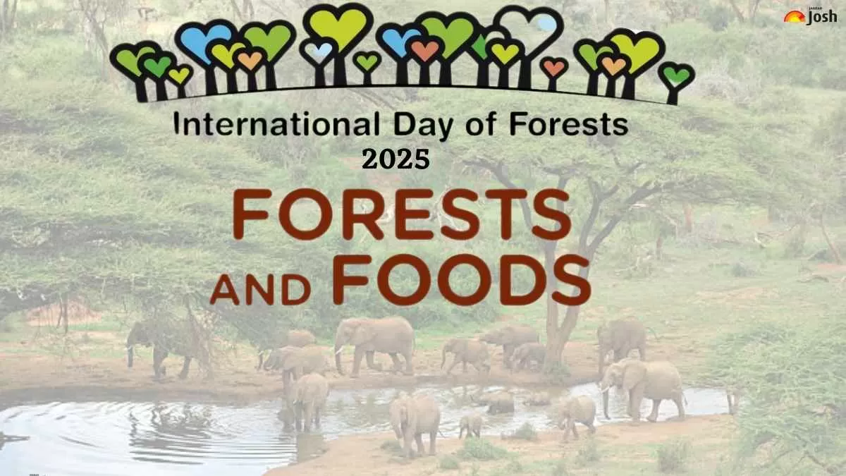 International Day of Forest 2025: Theme and Significance