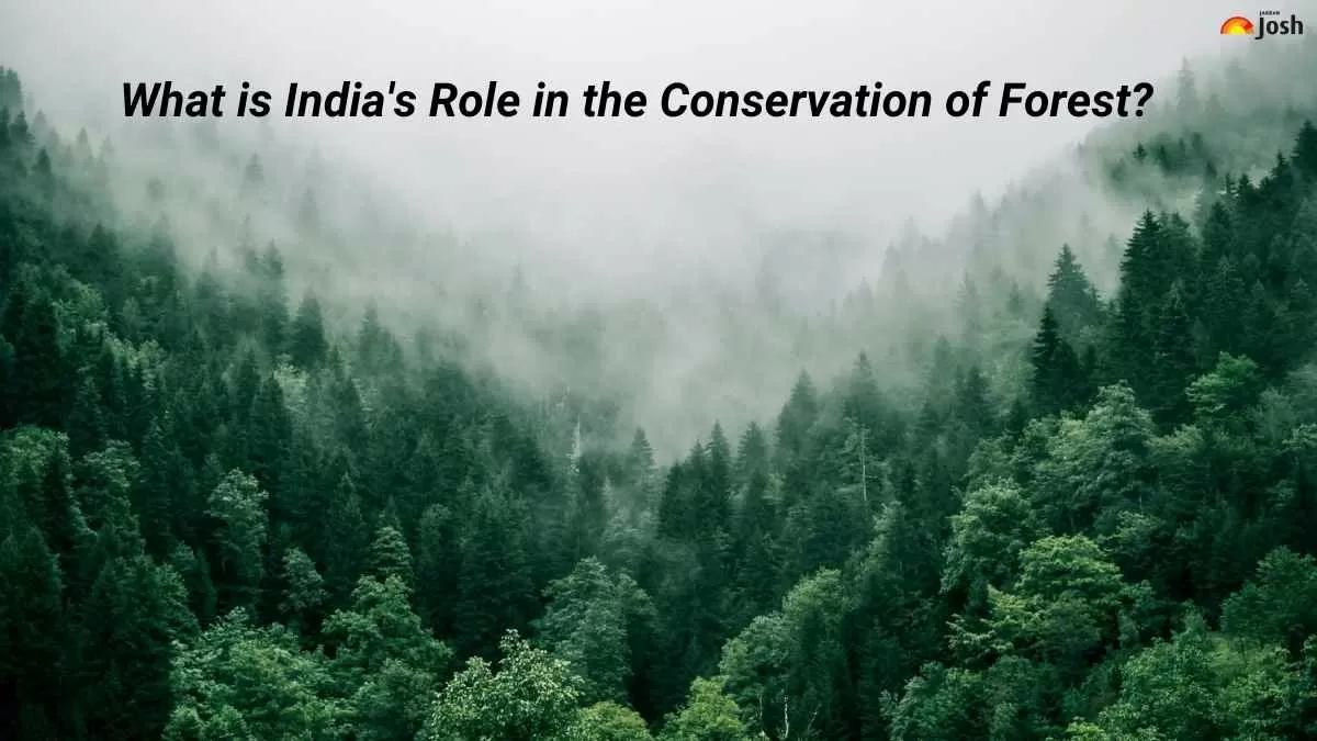 International Day of Forest 2025: What is India's Role in the Conservation of Forest?