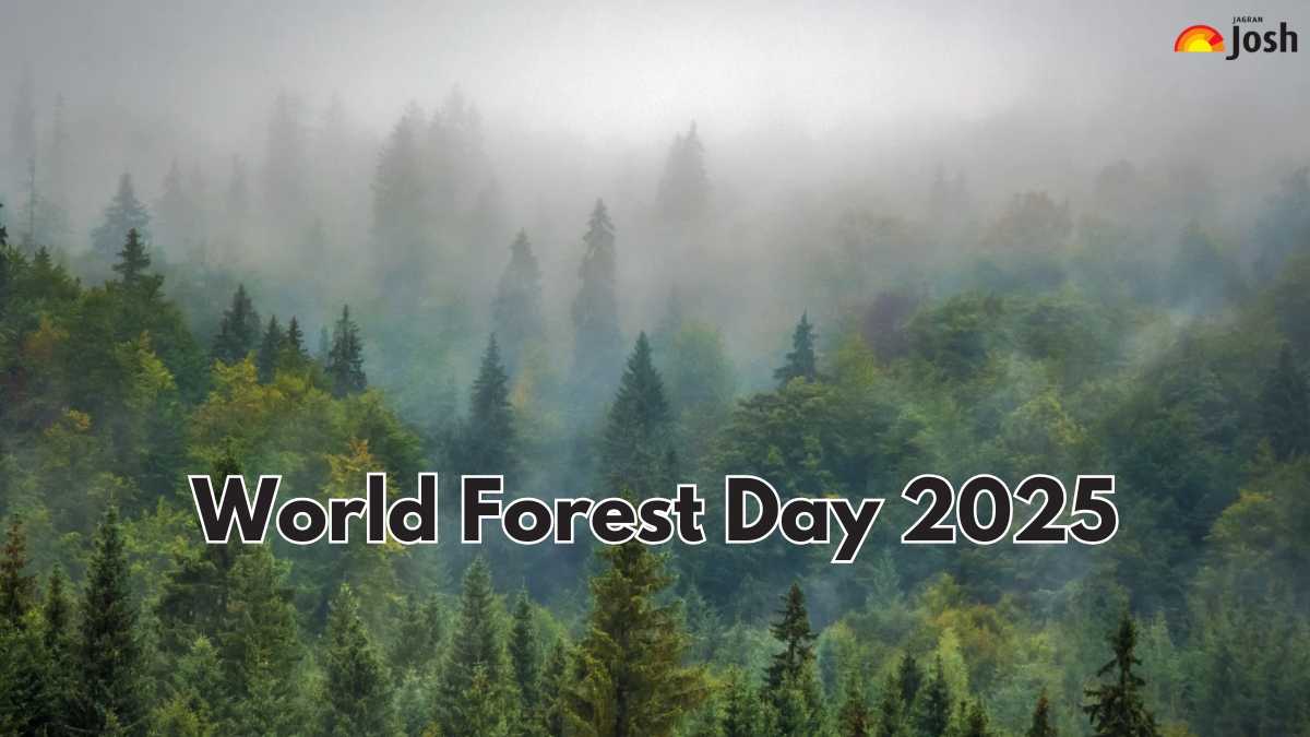 World Forest Day 2025: List of Top 10 Countries With Most Forests in the World; Check Where India Stands