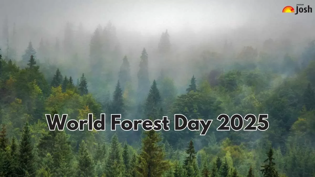 World Forest Day 2025