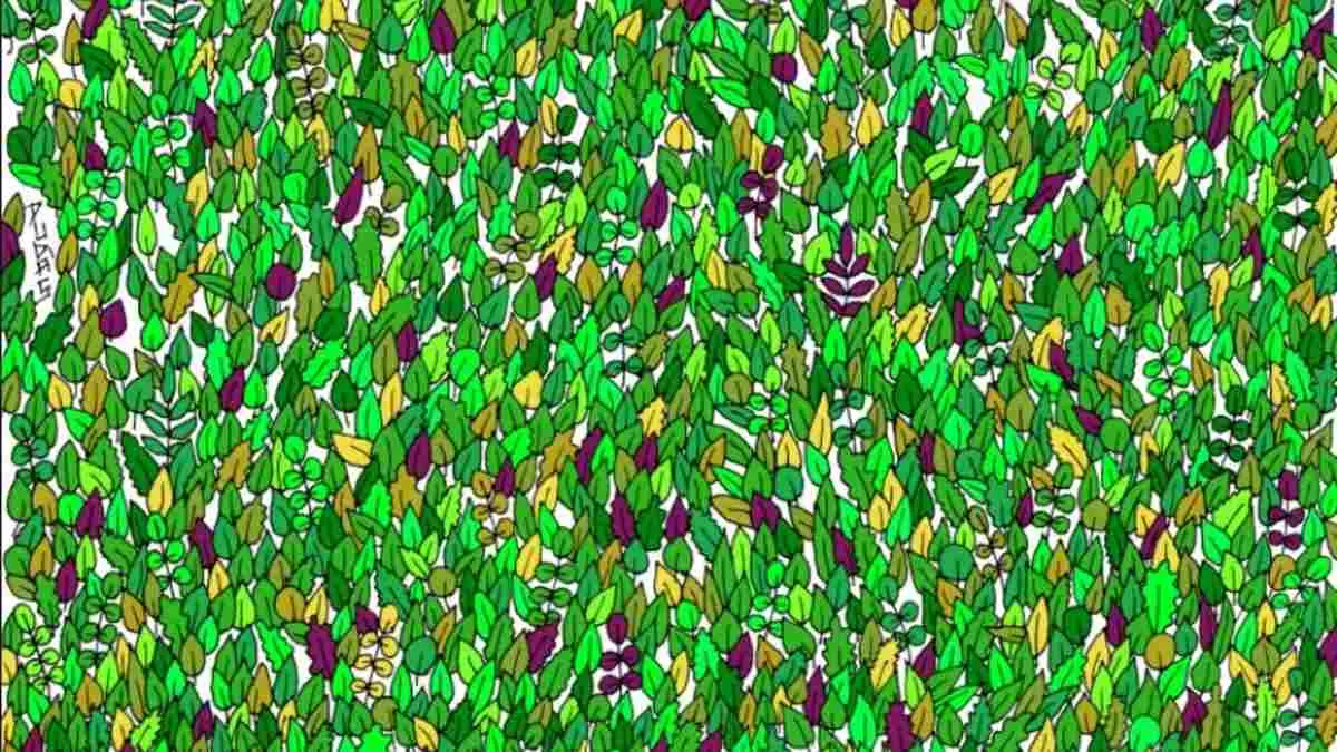 Only 1% Can Find the Hidden Frog.
