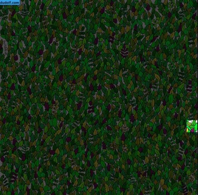 hidden optical illusions with answers