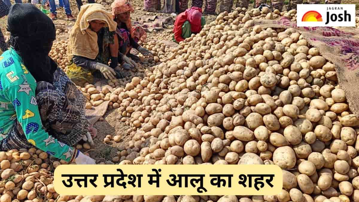 उत्तर प्रदेश के किस जिले को कहा जाता है आलू का शहर, जानें 