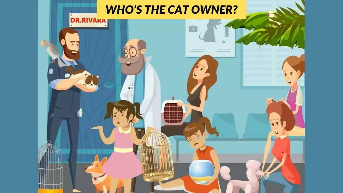 Find the cat's owner
