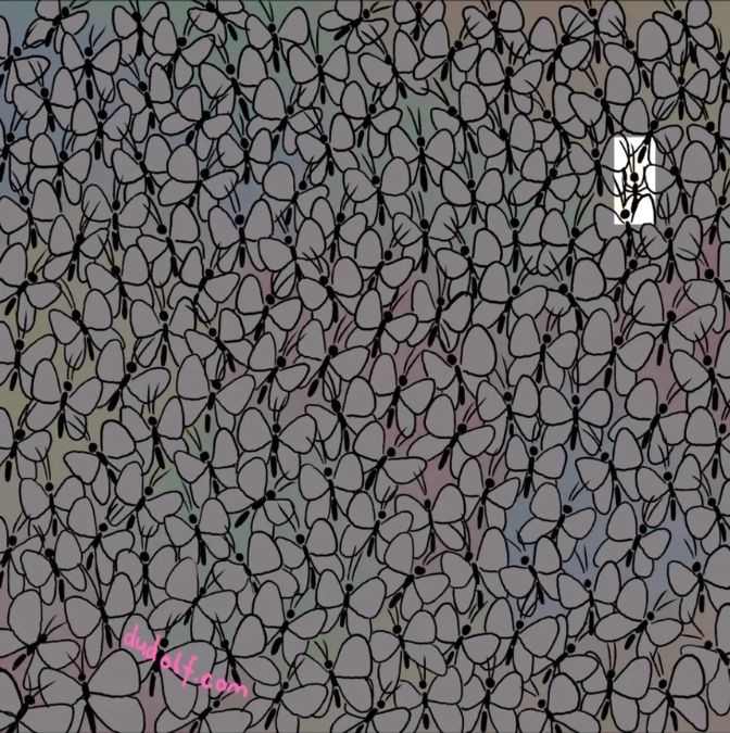 hidden picture puzzles with answers