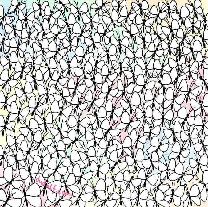 hidden picture puzzles with answers