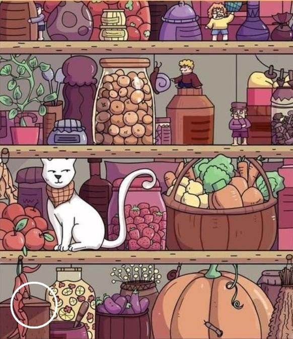 hidden optical illusions with answers