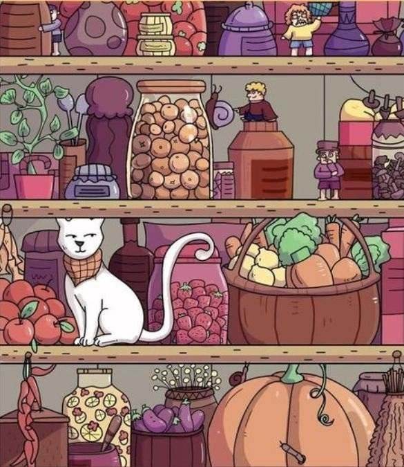 hidden optical illusions with answers