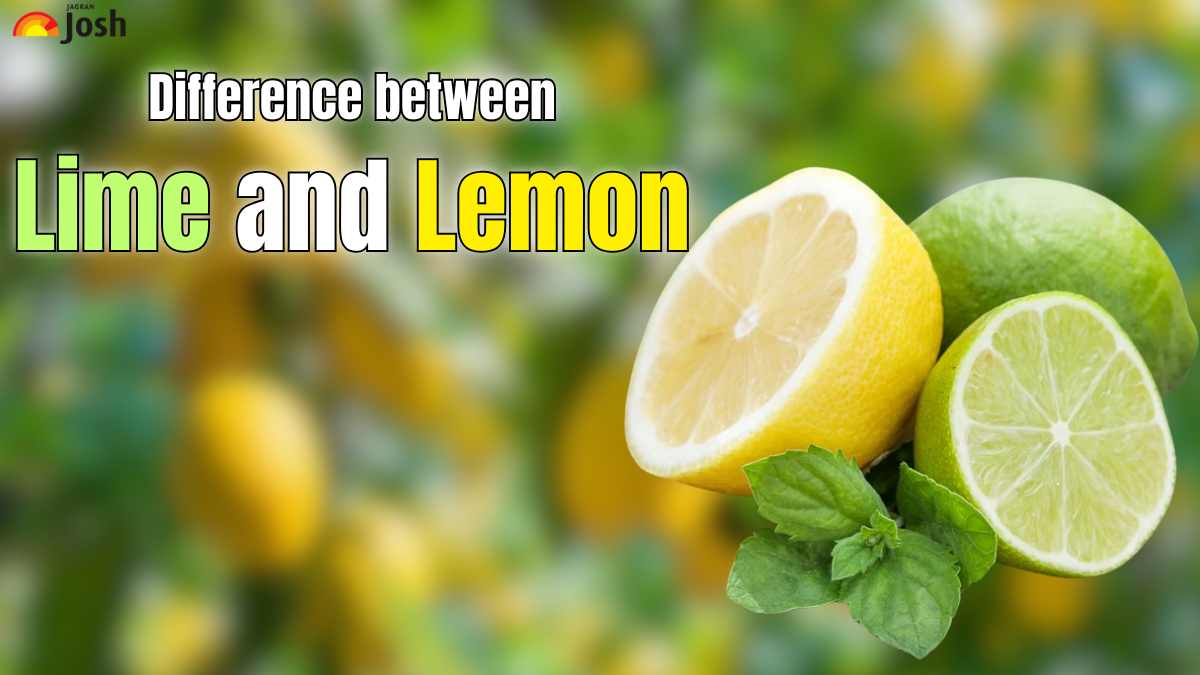 Difference Between Lemon and Lime