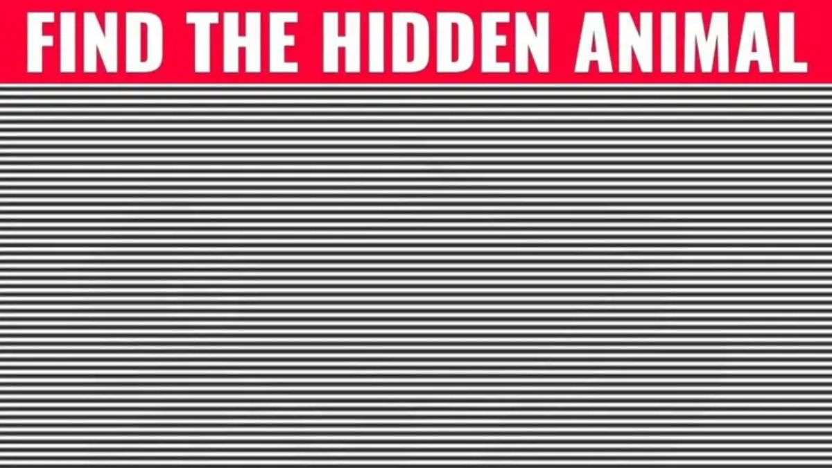 Optical Illusion Brain Test: Spot The Hidden Animal In 5 Seconds! 