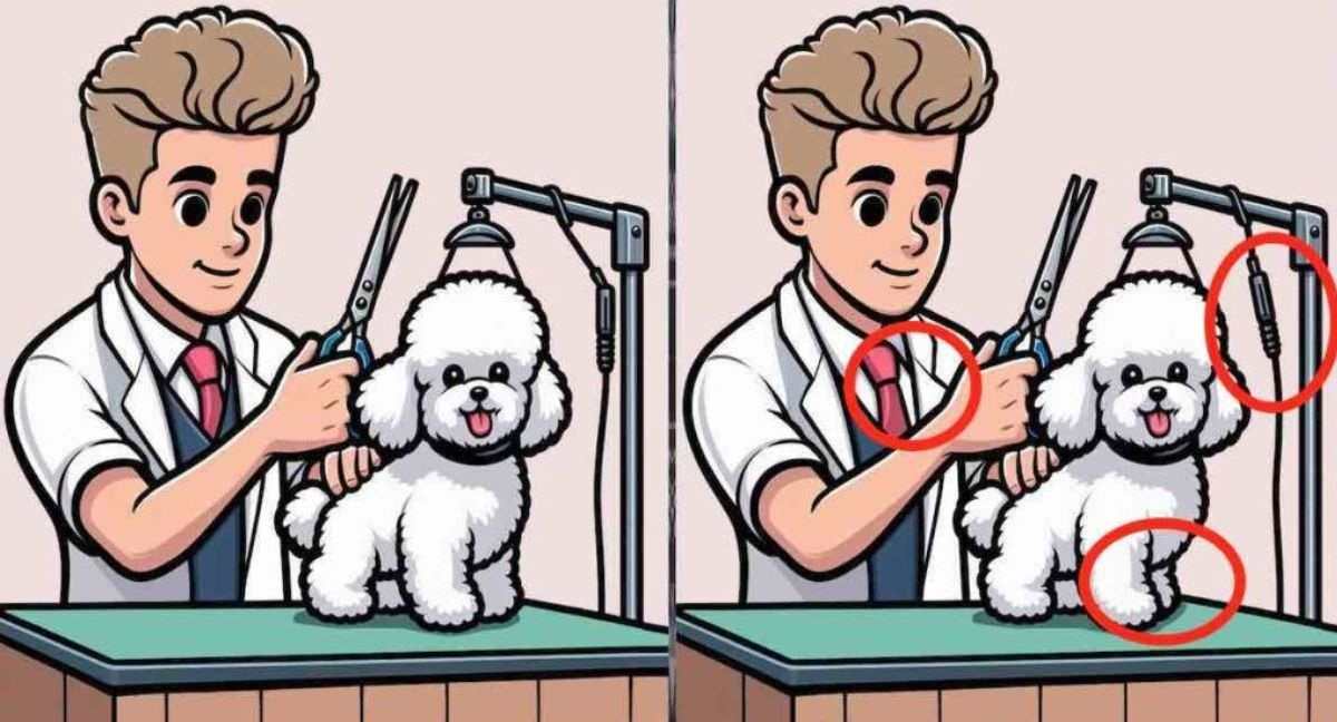 spot the difference iq test